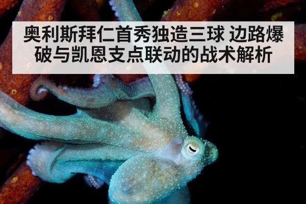 奥利斯拜仁首秀独造三球 边路爆破与凯恩支点联动的战术解析